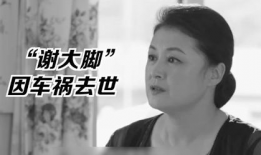 娱乐圈的瓜vs我吃的瓜,娱乐圈大瓜与我日常瓜果分享