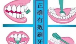 正确的刷牙方法视频,守护口腔健康
