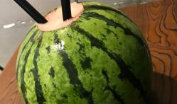 吃瓜爆料照片图片大全,图片大全揭秘娱乐圈幕后真相